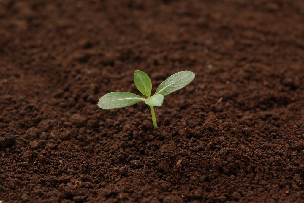 c623f972195b5102e0808d2af07c4b4e_m